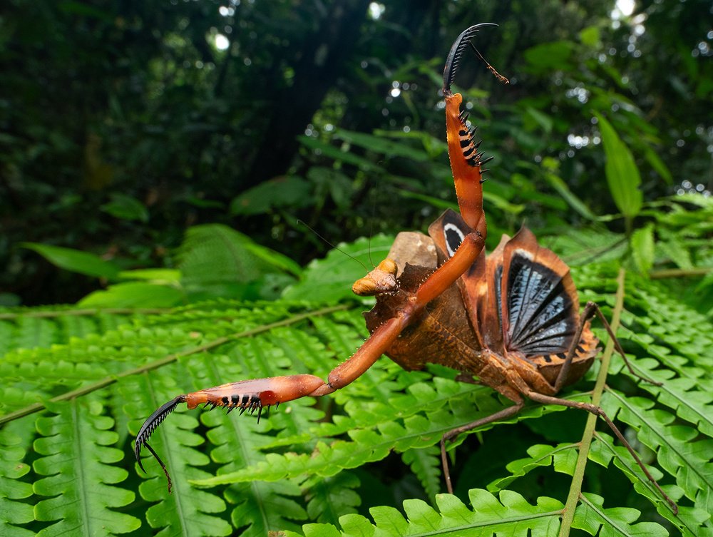 Photograph by Михаил Омелько