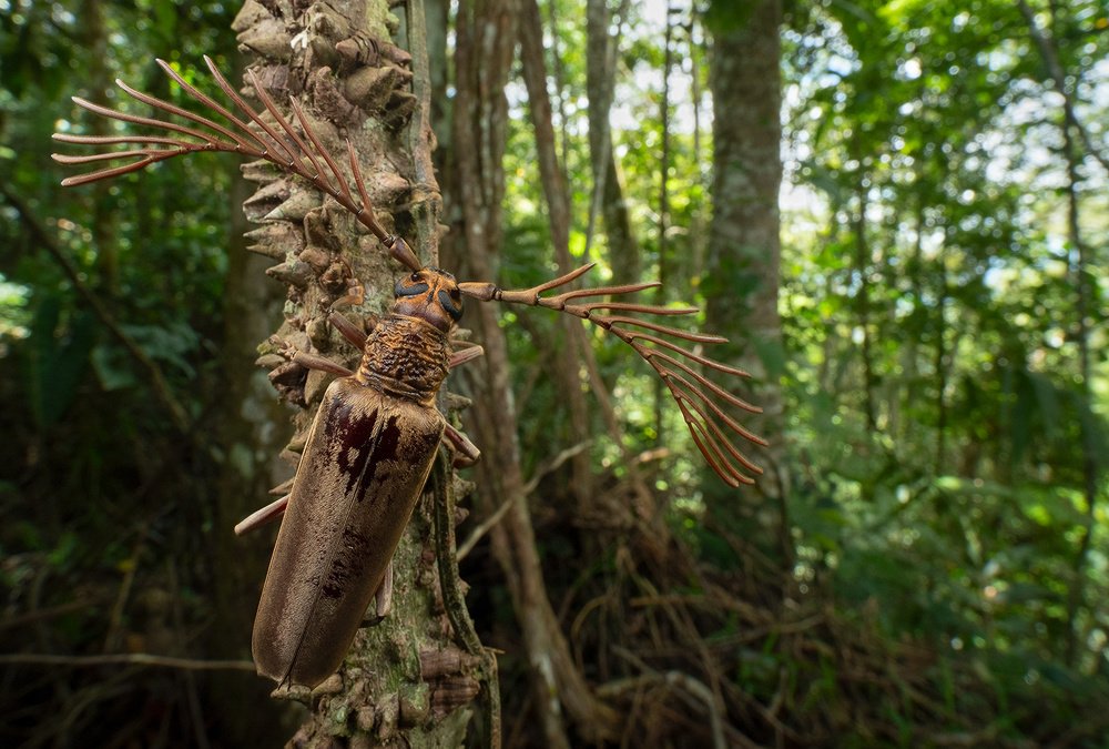 Photograph by Михаил Омелько