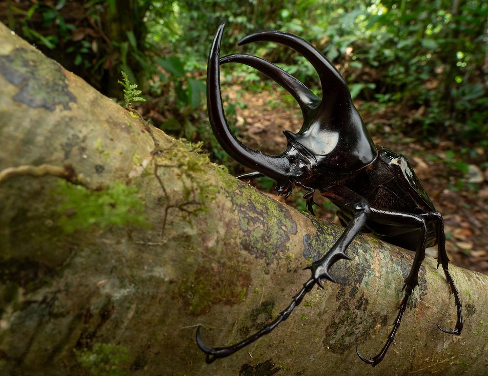 Photograph by Михаил Омелько