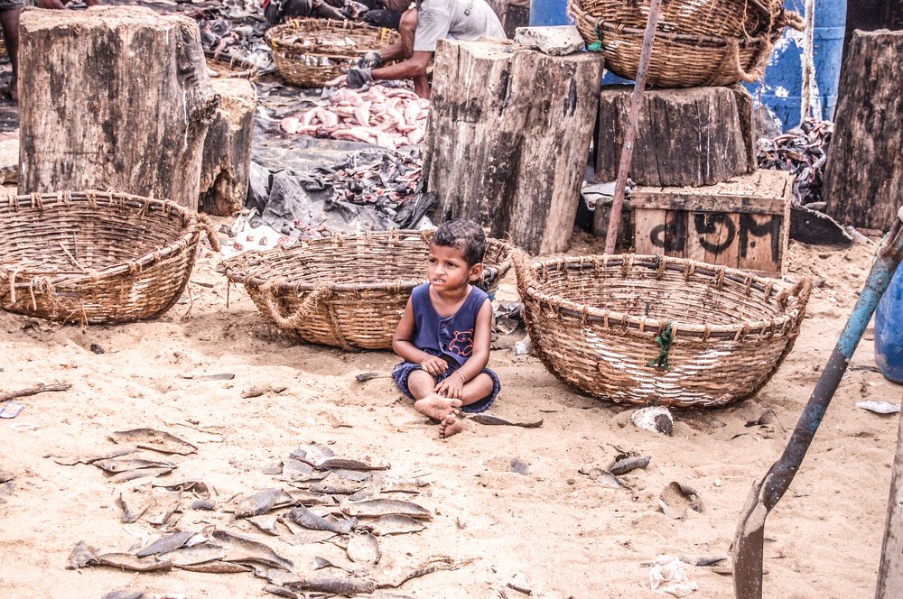 Фотография автора Ranasinghe Nadishka