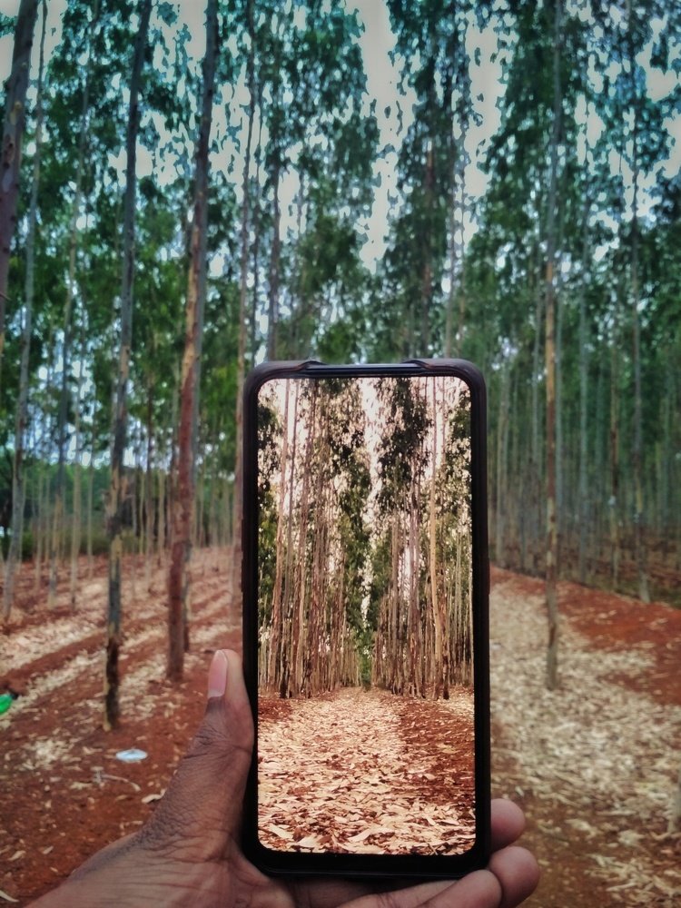 Photograph by Aravind Raulwar