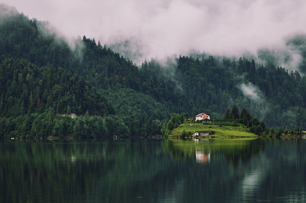 Photograph by Ciprian Ursu