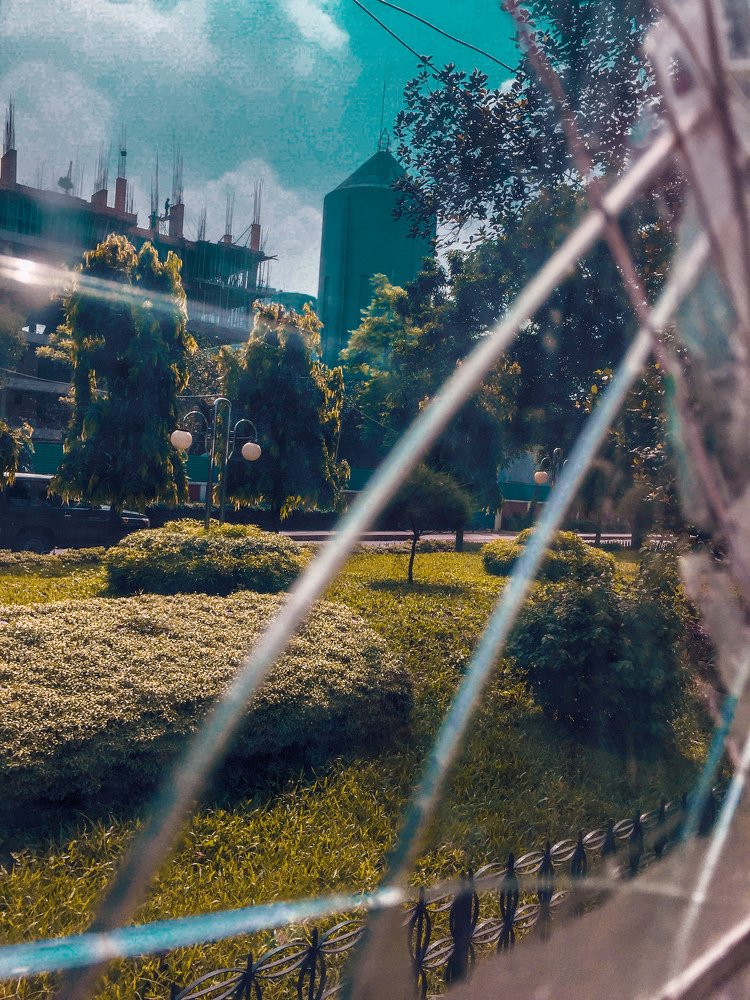 Photograph by Rylan Iffat