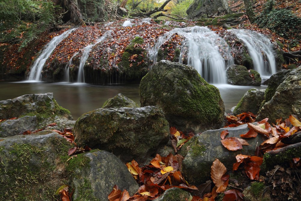 Photograph by Елена Врублевская