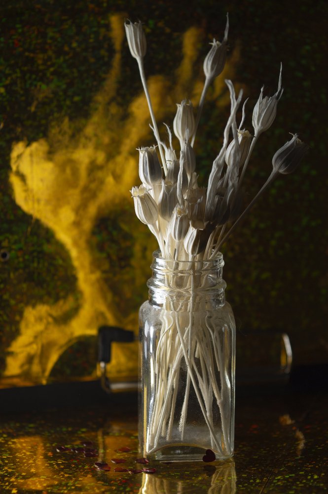 Photograph by Зайцева Катерина