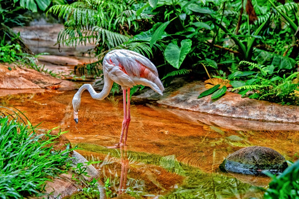 Photograph by Мари Полищук