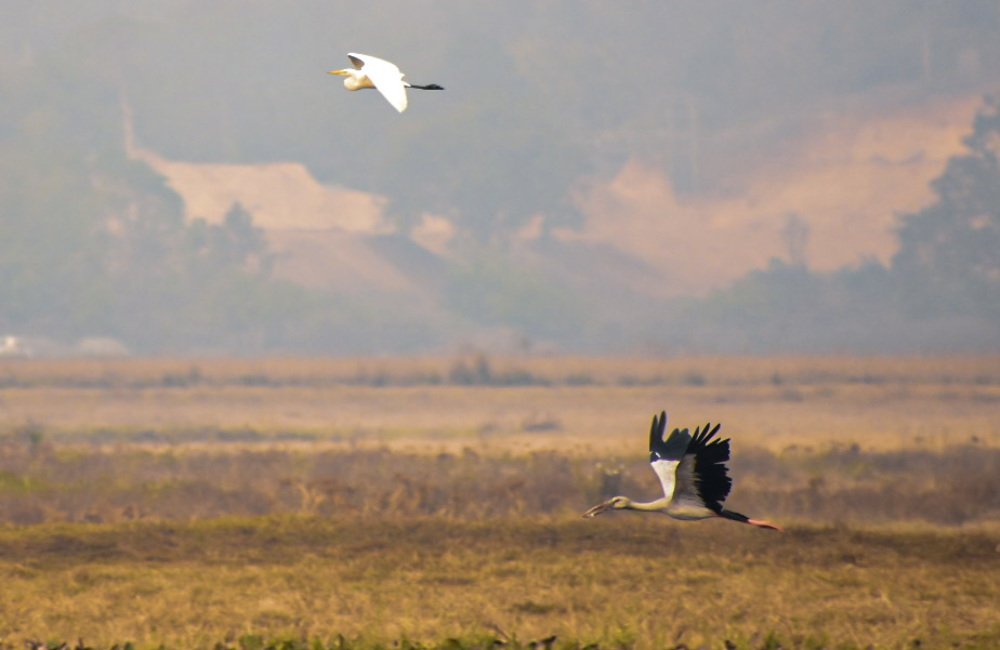 Photograph by Madhurjya Mazumdar