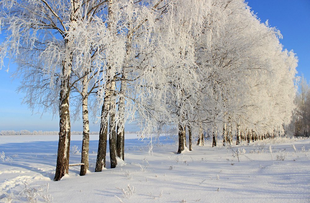 Photograph by Сергей Кожевников