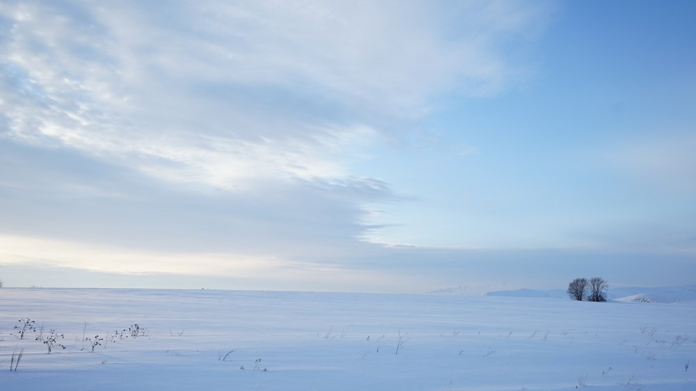 Photograph by Алина КАШКАВАЛ