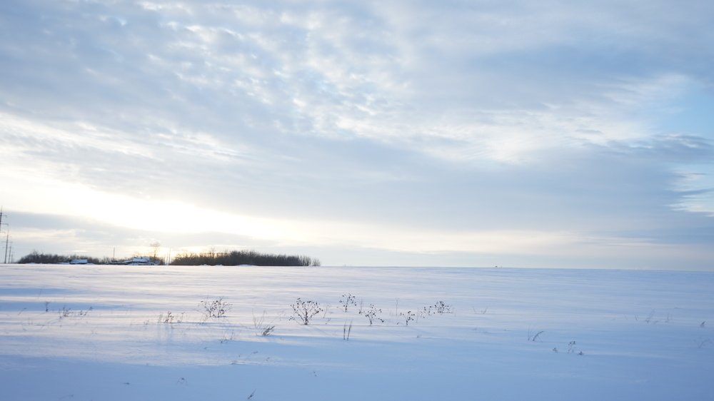 Photograph by Алина КАШКАВАЛ