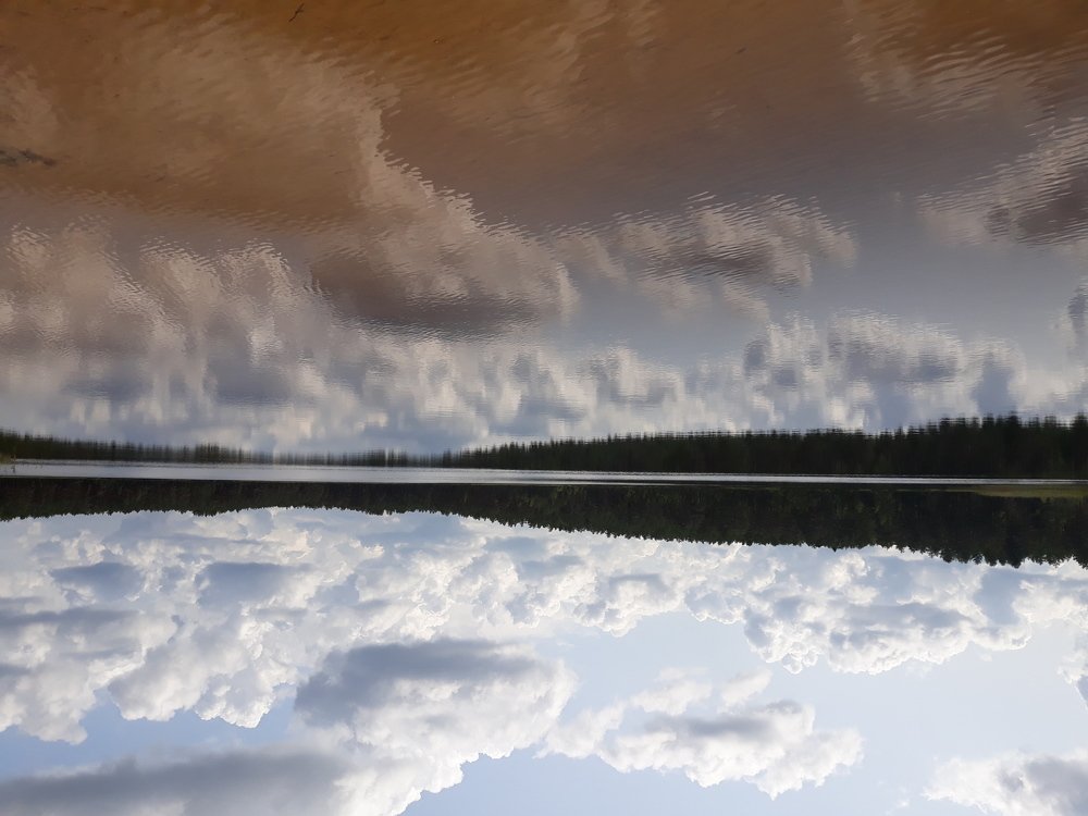 Photo #4317343