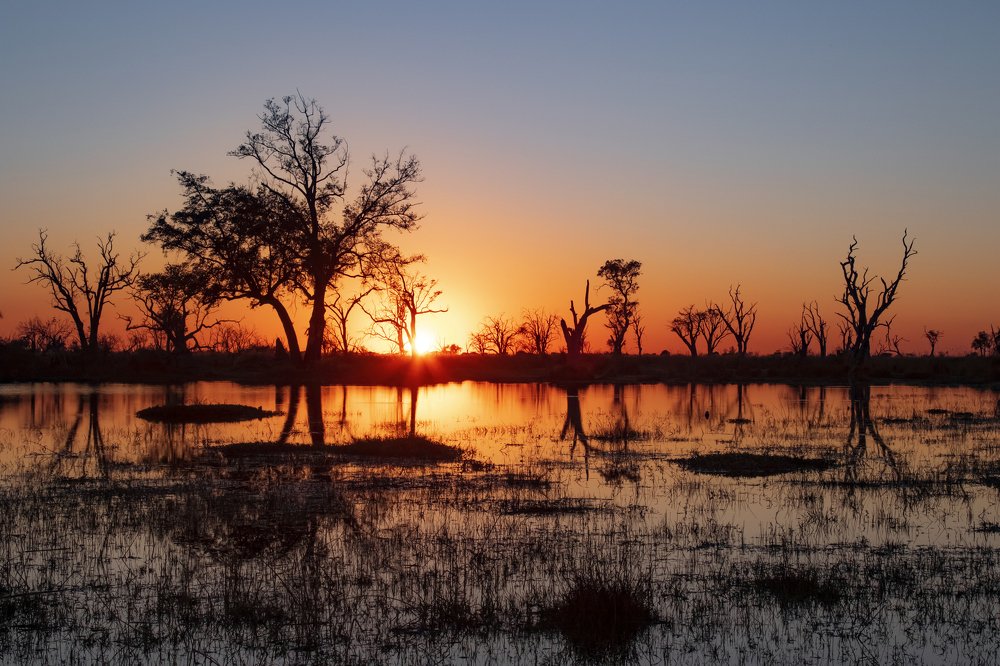 Photograph by THEODORE MATTAS