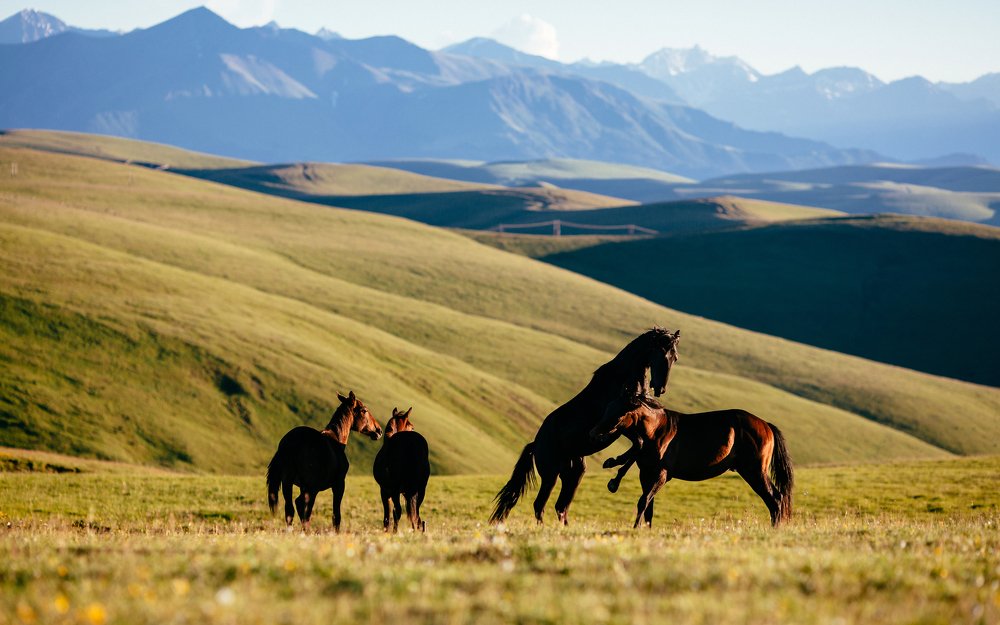 Photograph by Альбина Сагитова