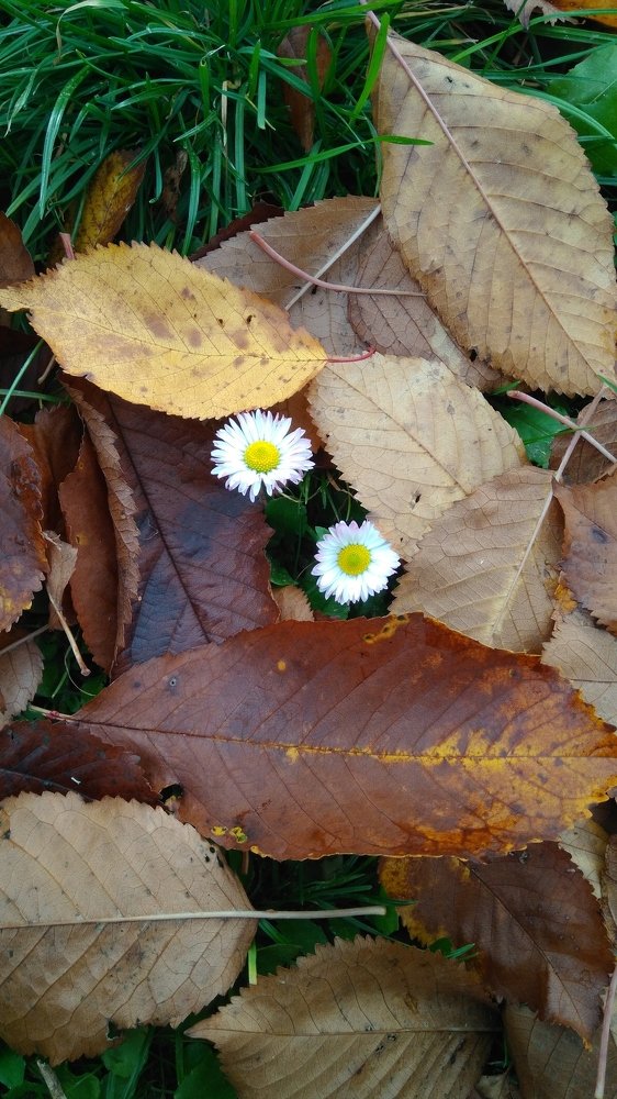 Photograph by Irsan Hamanaev