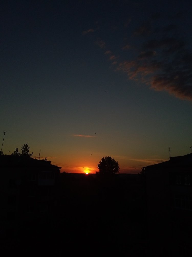 Photo #4317634
