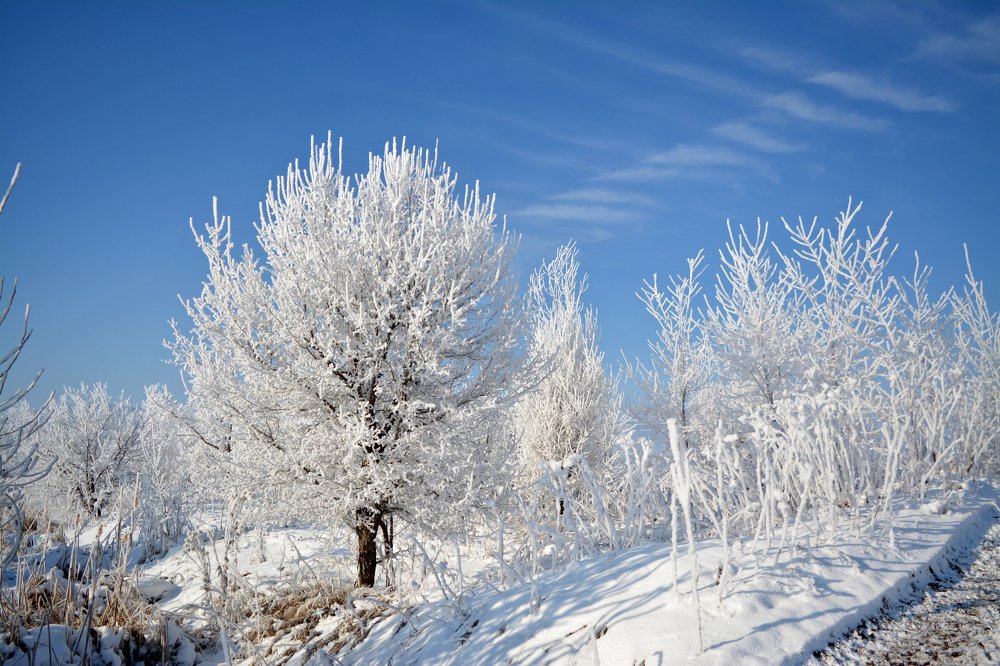 Photograph by Любомир Стойков