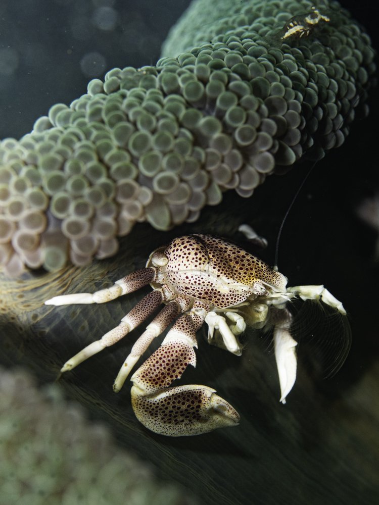 Keeping my home clean