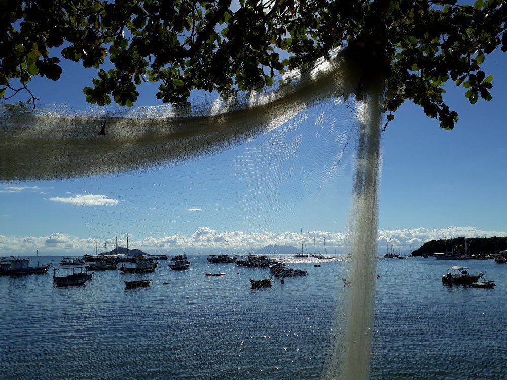 Entre barcos y redes