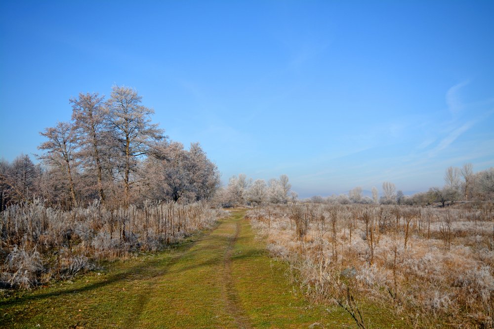 Photograph by Любомир Стойков