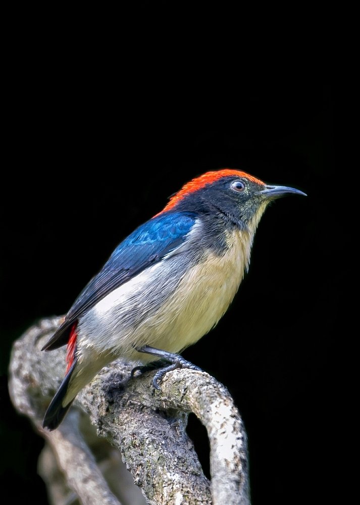 Glow from the dark..