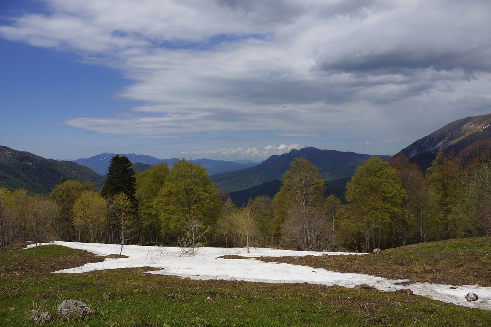 Photograph by Марина Гнедаш