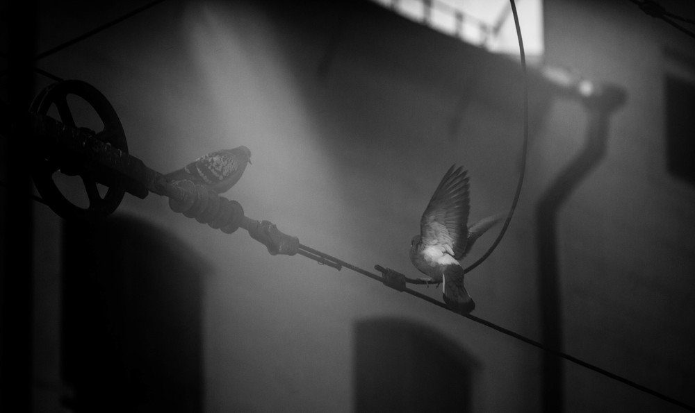 Photograph by Sergey Remizov