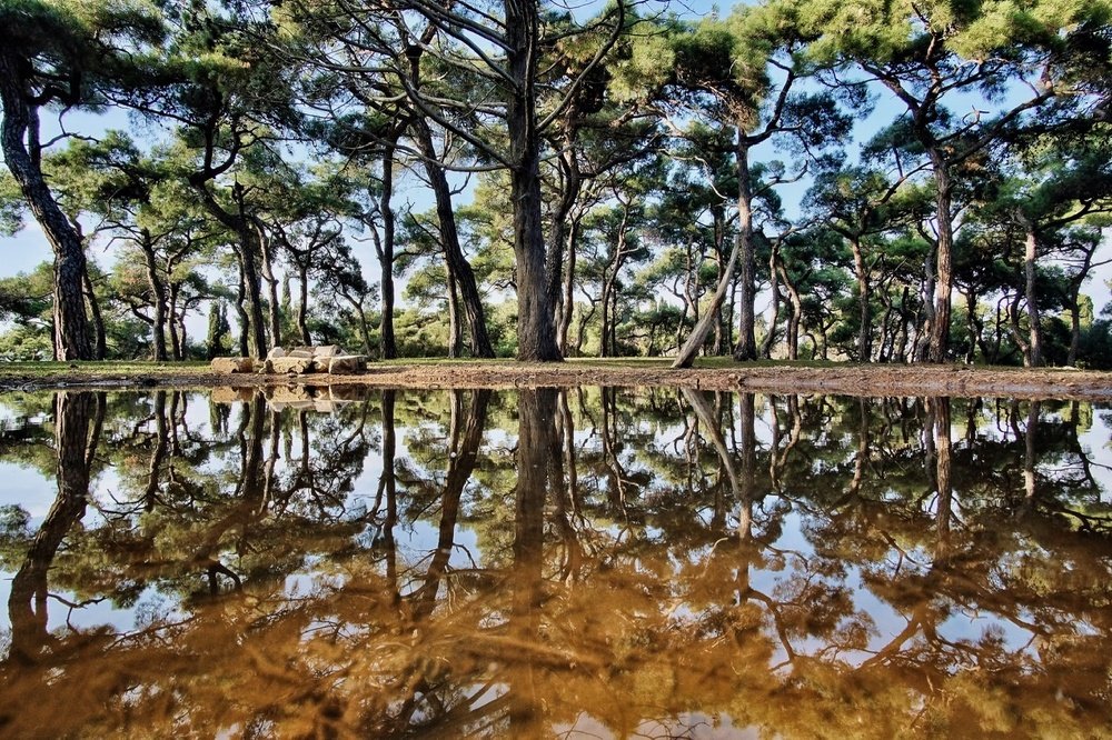 Photograph by Евгений Андреев