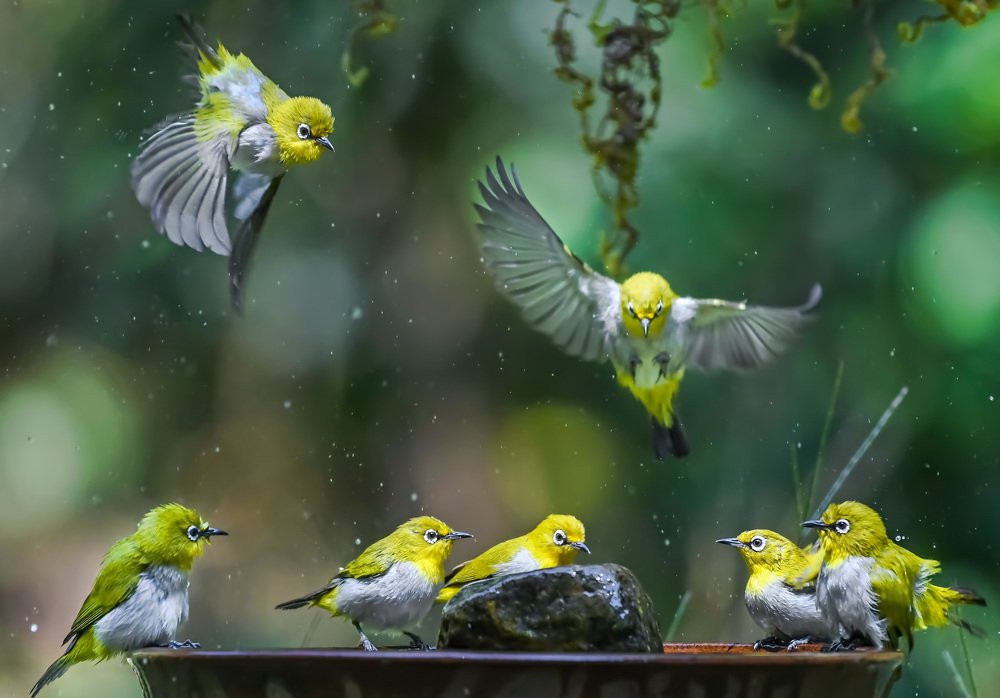 Photograph by Sreeroop KT