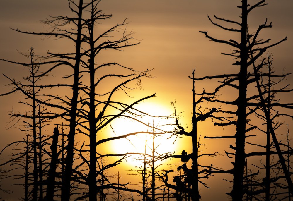 Photograph by Сергей Шмелев