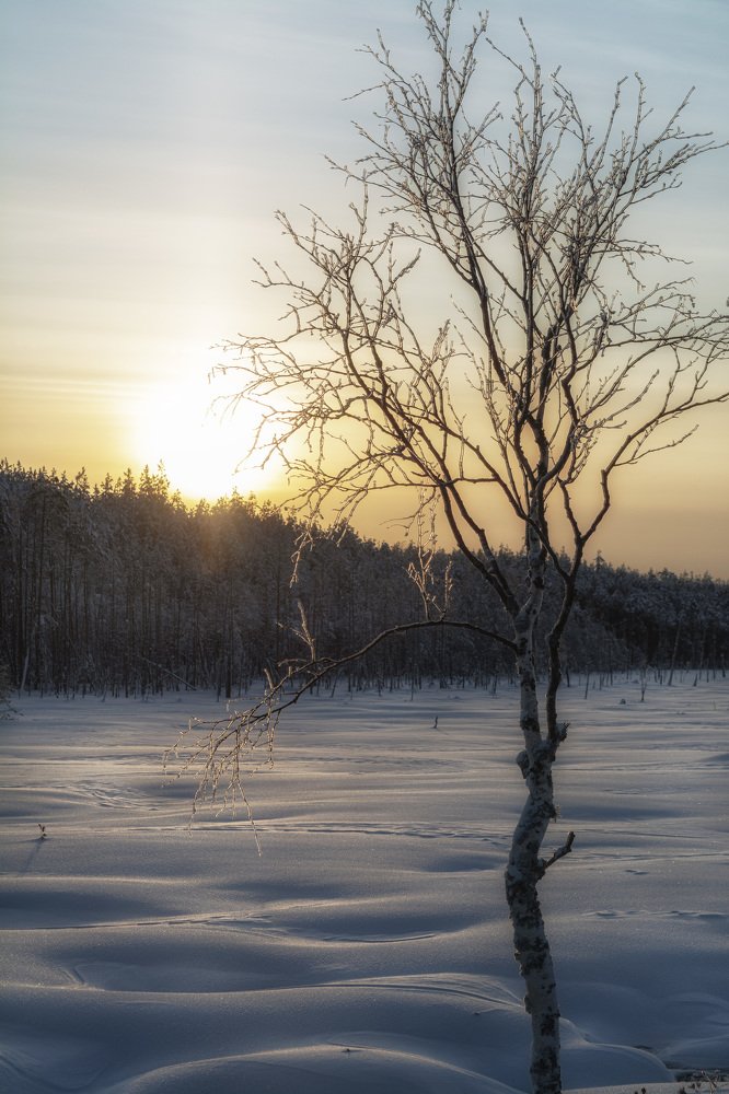 Photograph by Сергей Шмелев