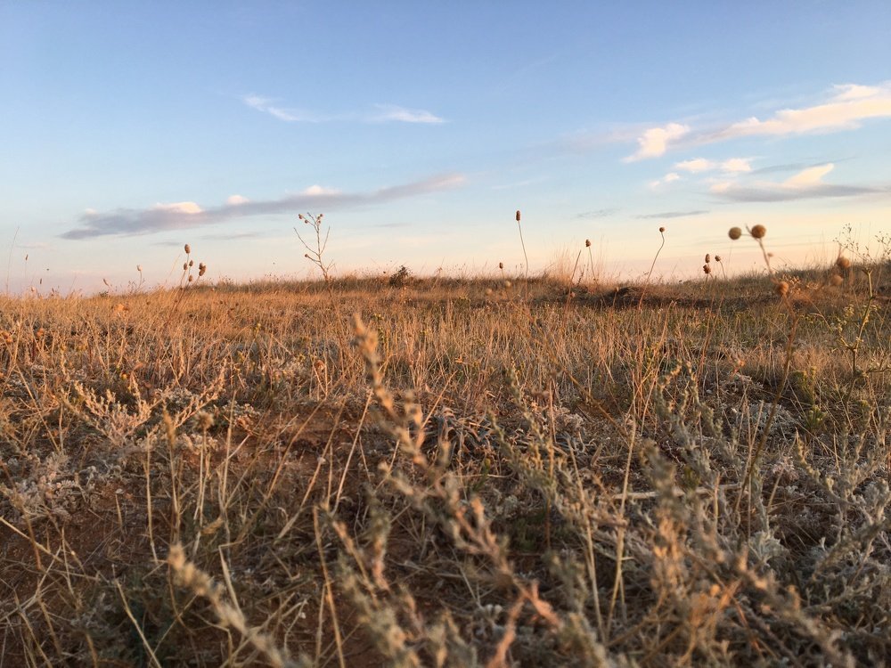 Photograph by Catherina Novikova