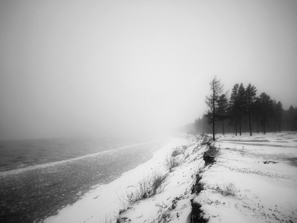 Photograph by Сергей Шмелев