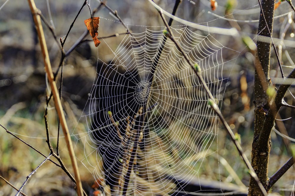Photograph by Павел Лаврухин