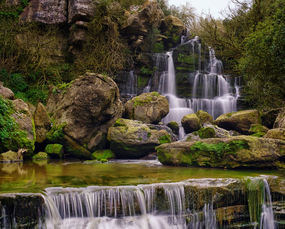 Photograph by Mário C.