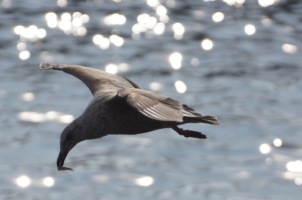 Photograph by Алексей Миронов