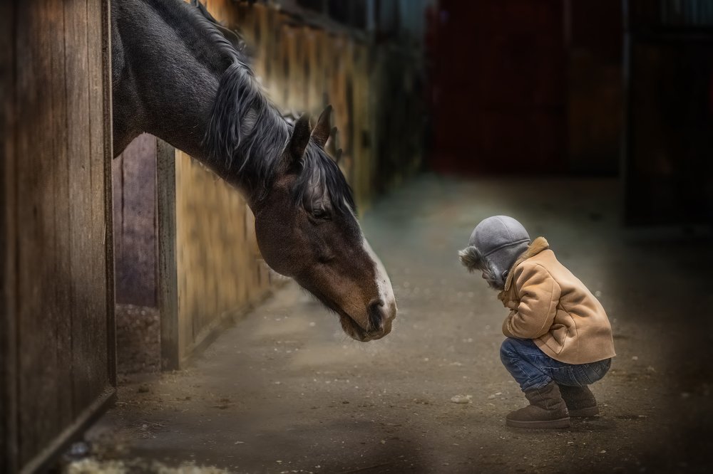 Photograph by Владимир Гордеев
