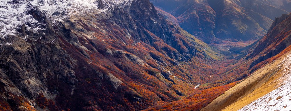 Photograph by Daniel Mendez