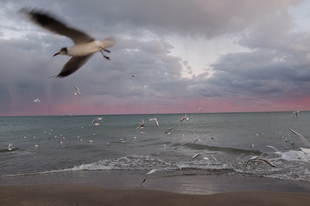 Photograph by Татьяна Юркивская