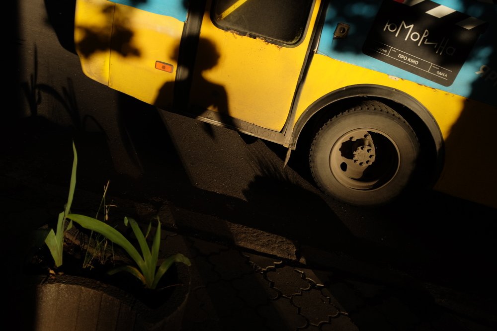 Photo #4318557