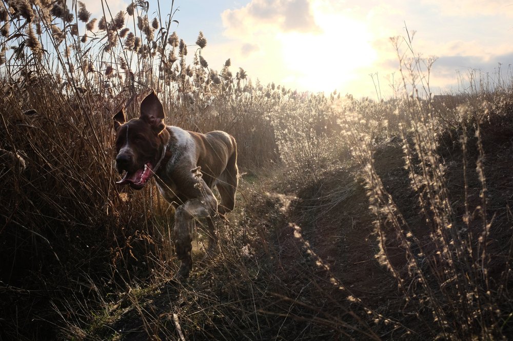 Photograph by Игорь Юркивский