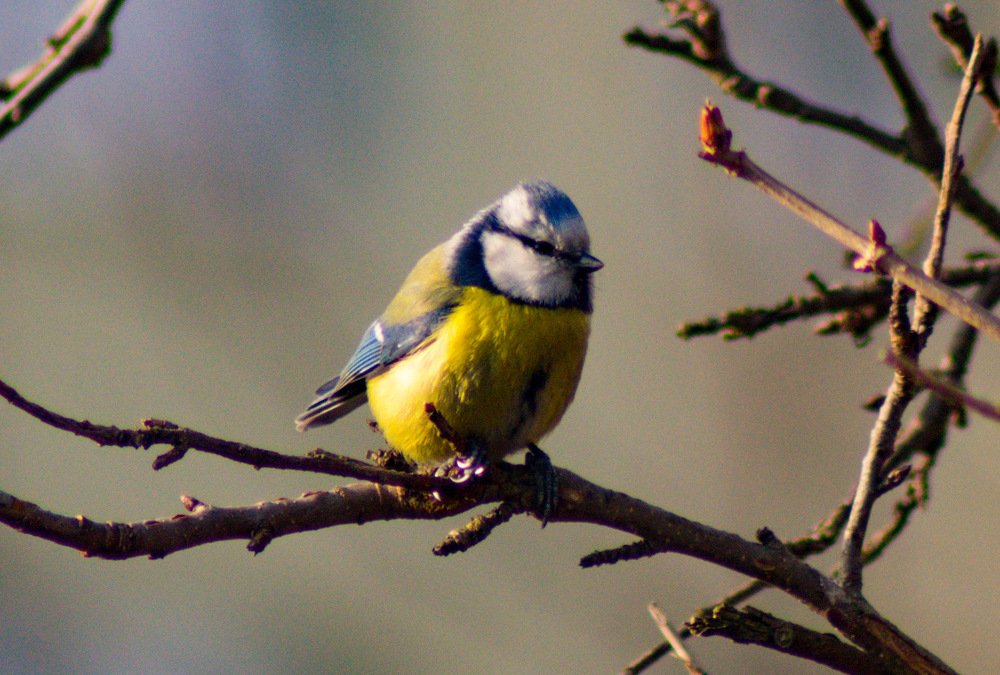 Photograph by Sabina Żmija