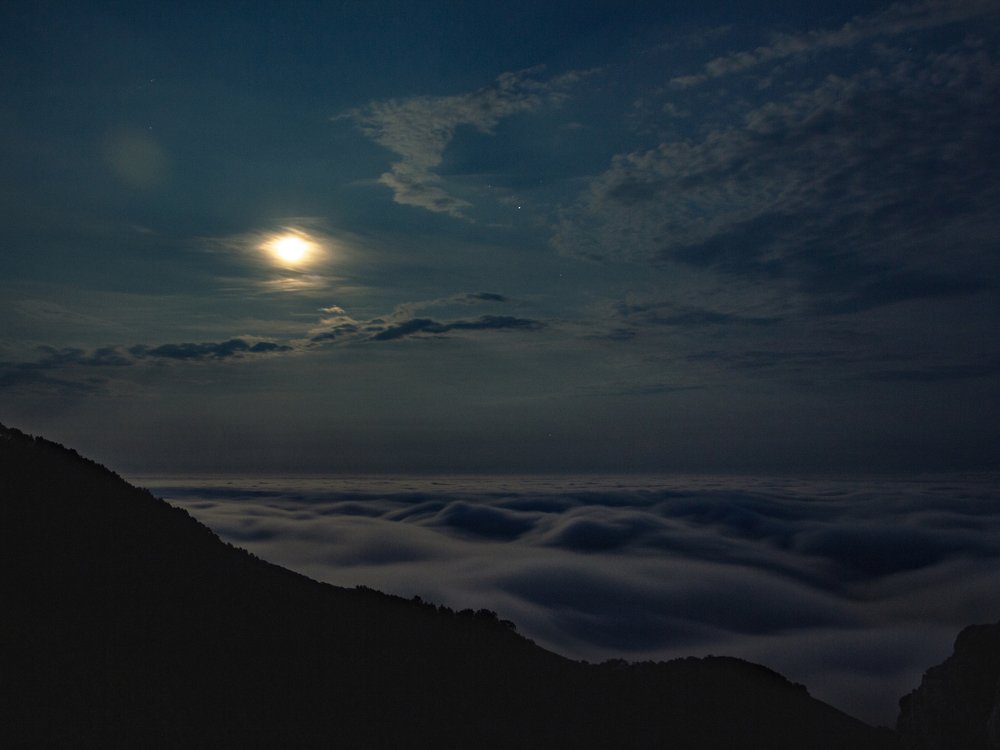 Лунная Ночь