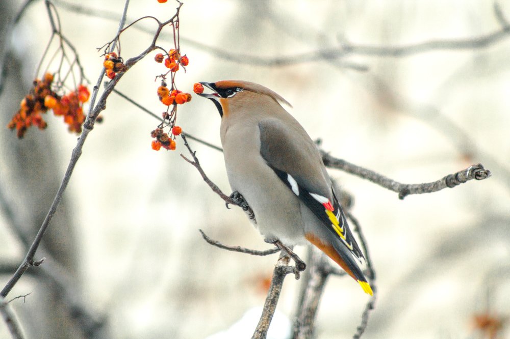 Photograph by Наталья Гордина