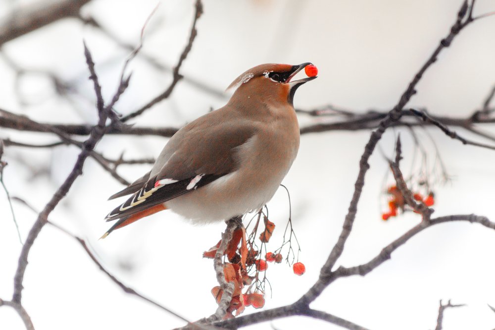 Photograph by Наталья Гордина