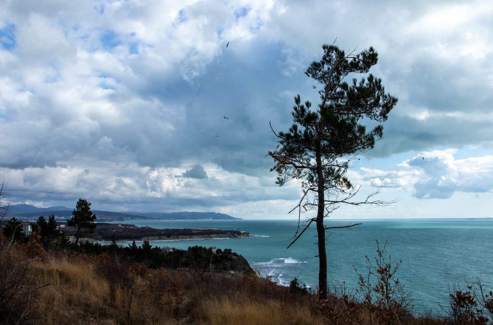 Photograph by Олег Башкуров