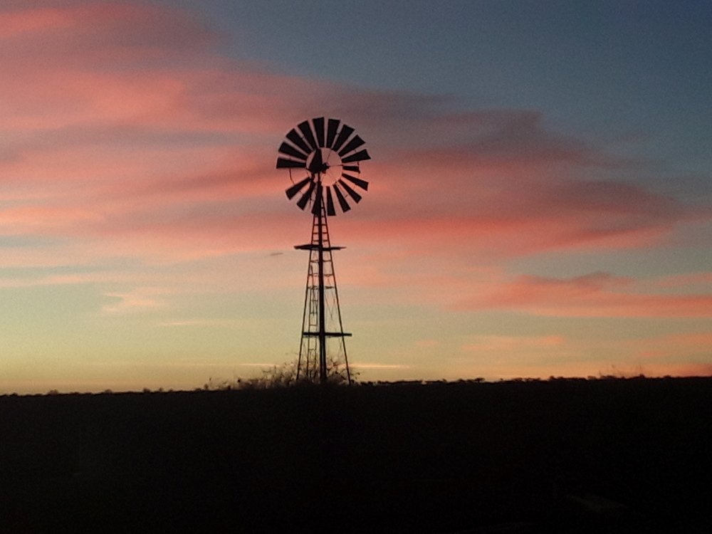 Photograph by Peter Boer