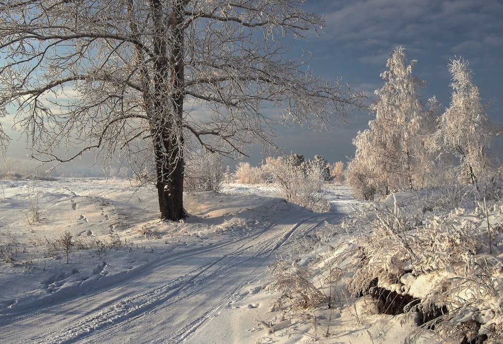 Разлучница дорога