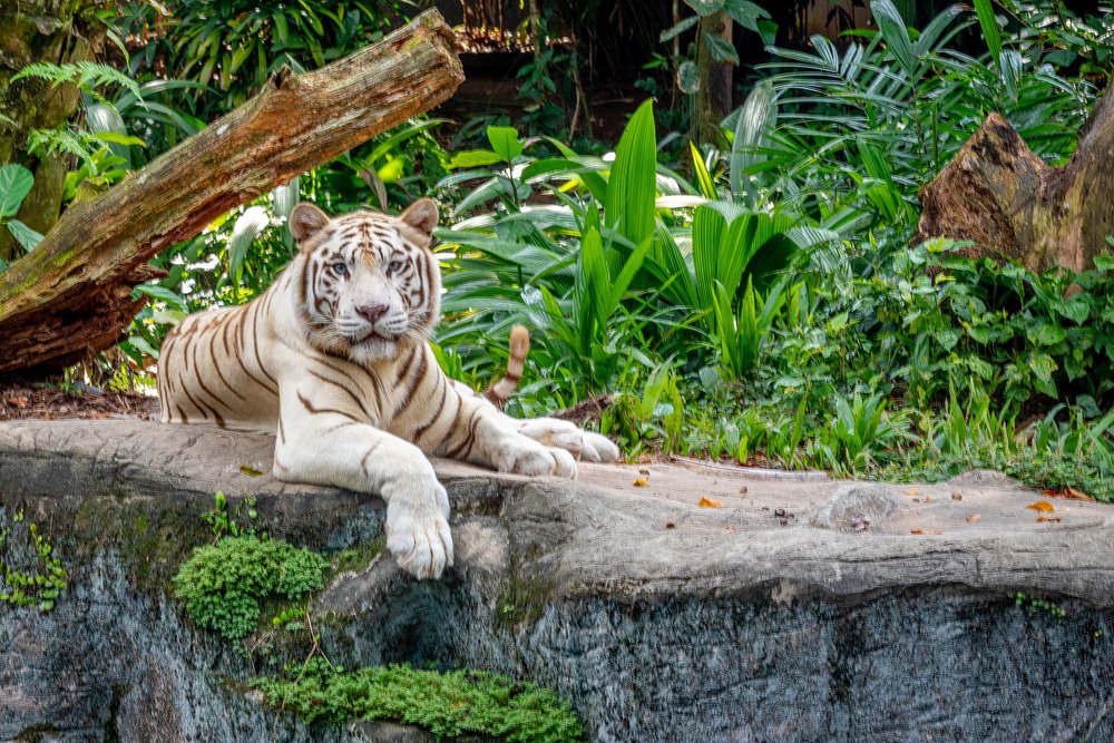 Photograph by Yan Razhkovetsky