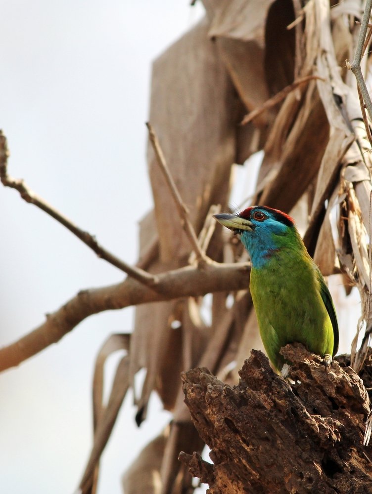 Photograph by Meghali Sarma