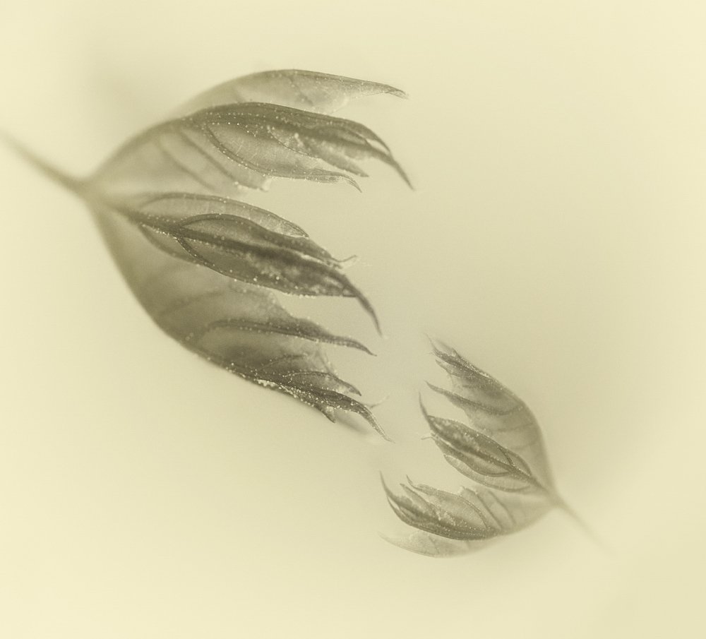 Притяжение..  - Attraction..